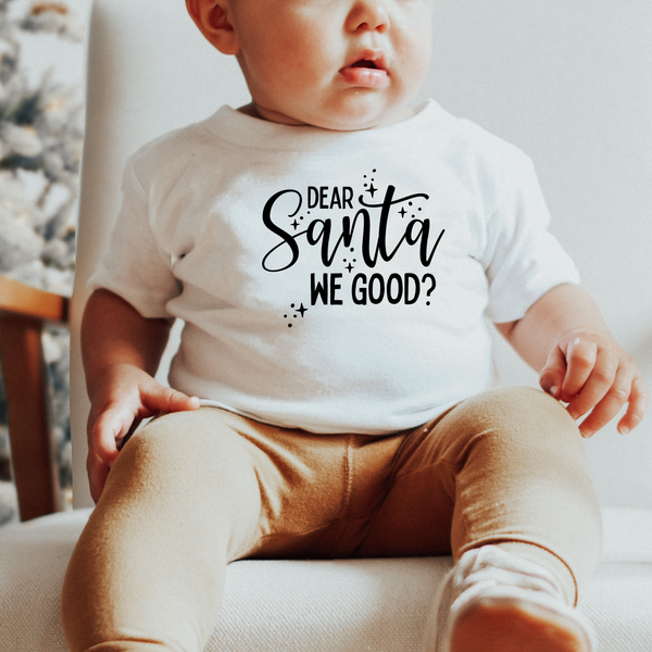 Dear Santa, We Good? Youth Shirt