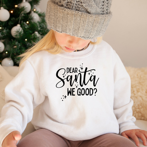 Dear Santa, We Good? Youth Shirt